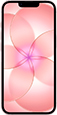 iPhone 17e